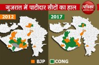 Bjp loss Patidar Area