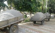 buffalo cart