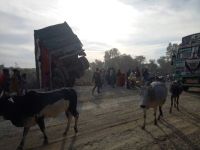Uncontrolled truck hang on the bridge in Panna