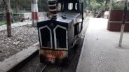 gulabbagh train