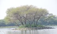 kishan kareri pond