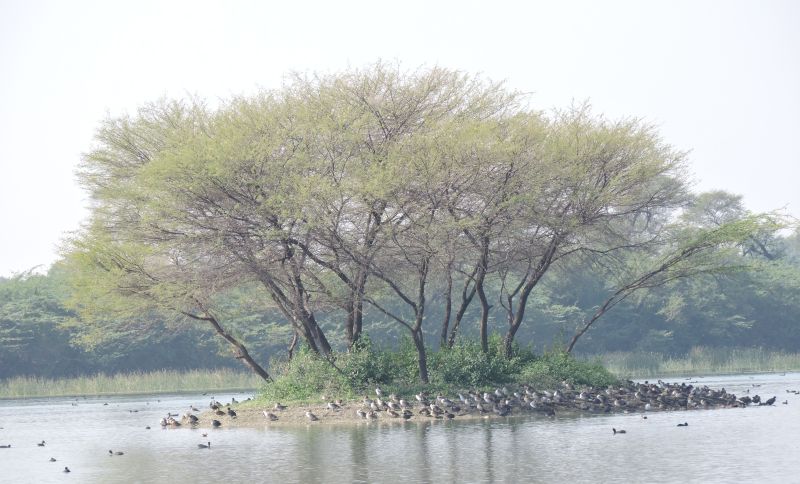 kishan kareri pond