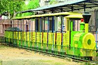Toy Train in Chambal Garden