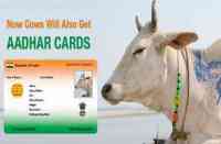 Aadhar Card