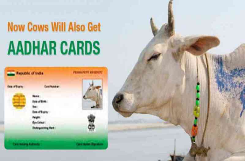 Aadhar Card