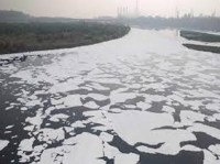 yamuna pollution