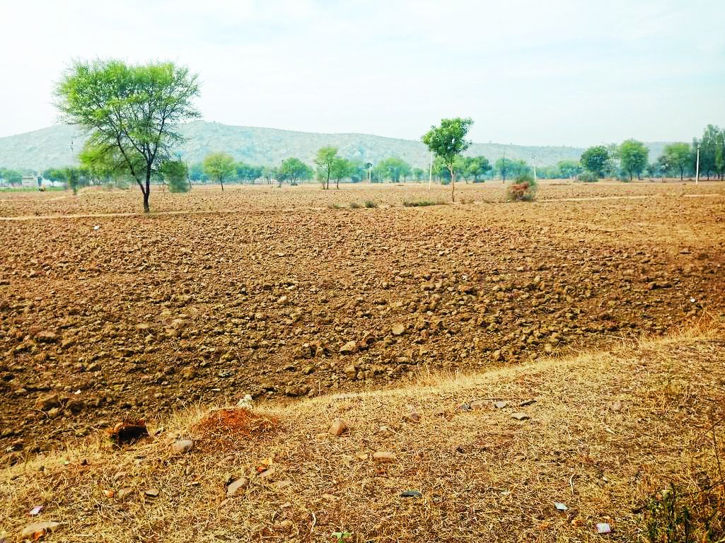 farmers are unable to grow crops in this area of rajasthan