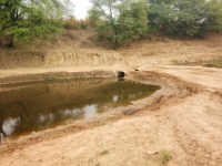 Hindi News, Morena News, Mp Hindi News, Sand mafia, Morena, Crime, Police