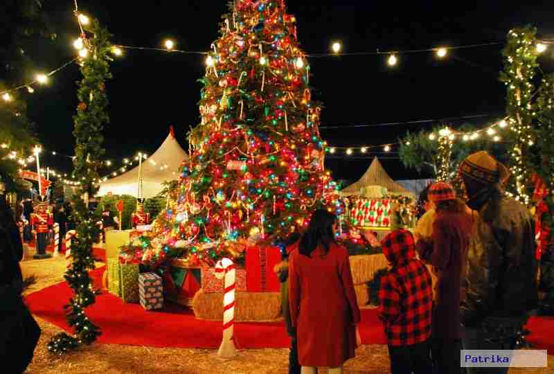 christmas celebration starts in alwar
