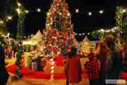 christmas celebration starts in alwar