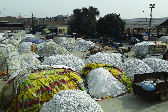 Sriganganagar new dhanmandi updates