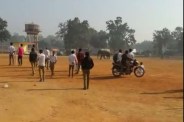 Elephant in Highschool Songara