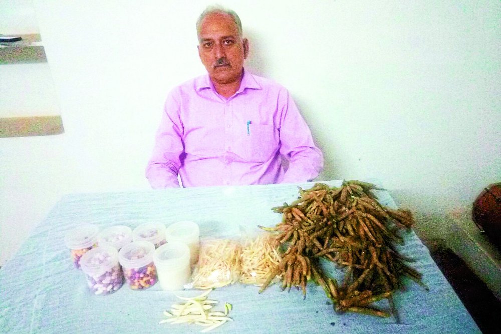 farmer nanalal sharma