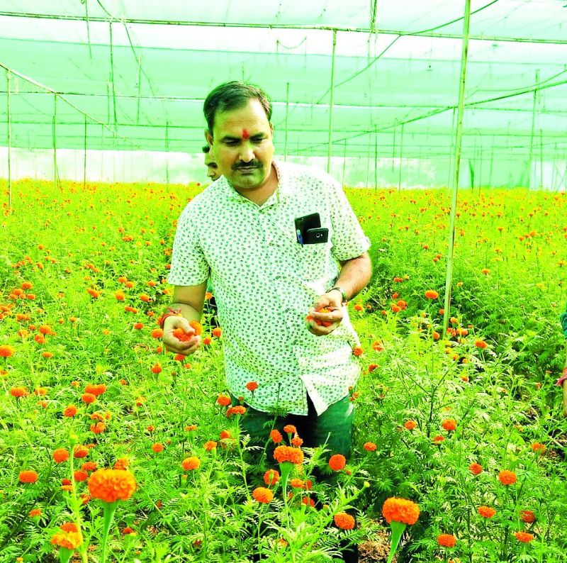 Farmer Rameshchandra