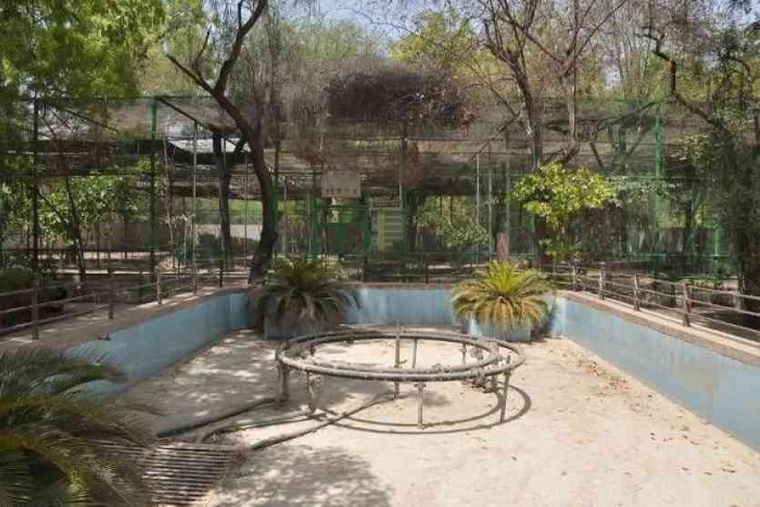shifting of jodhpur zoo