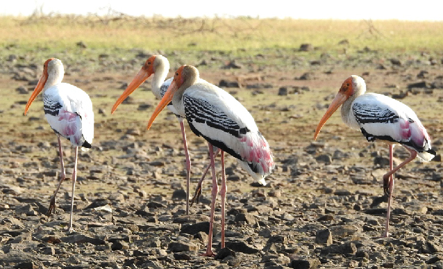 External trends will be calculated