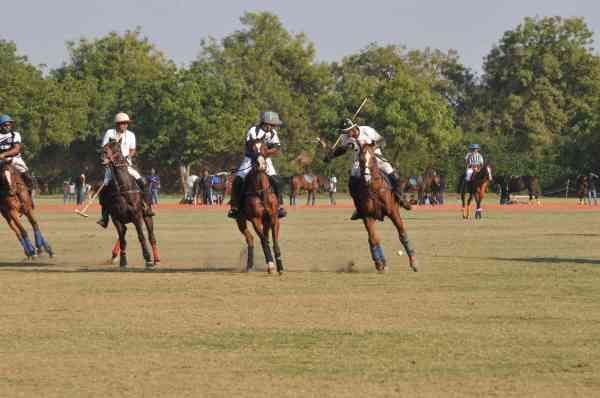 Jodhpur Polo season 2017