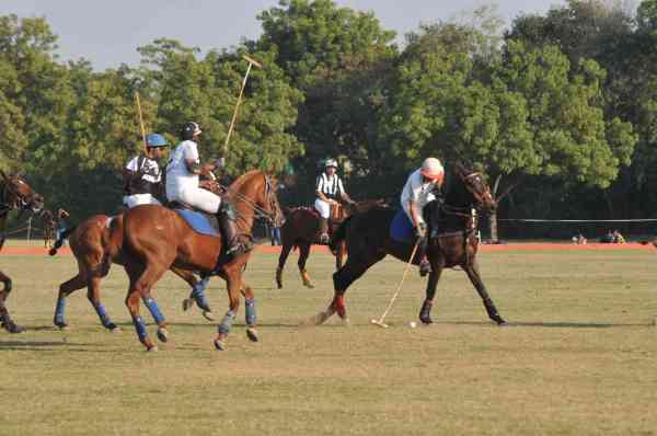Jodhpur Polo season 2017