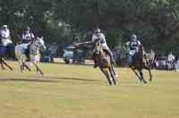 Jodhpur Polo season 2017
