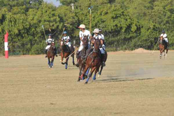 Jodhpur Polo season 2017