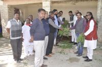 गायों को खिलाया हरा चारा व गुड़