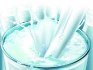 dairy plant in sagar