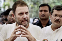 rahul gandhi plan for mp election