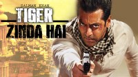 tiger zinda hai