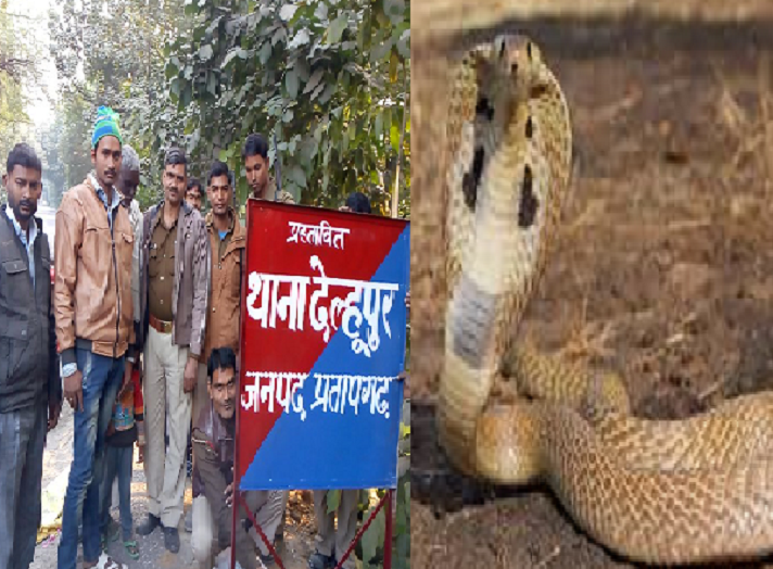 new police station work start in pratapgarh after snake attack