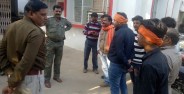 pick, truck, calves, woods, bhind news, bhind news in hindi, mp news