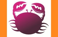 cancer zodiac sign in hindi