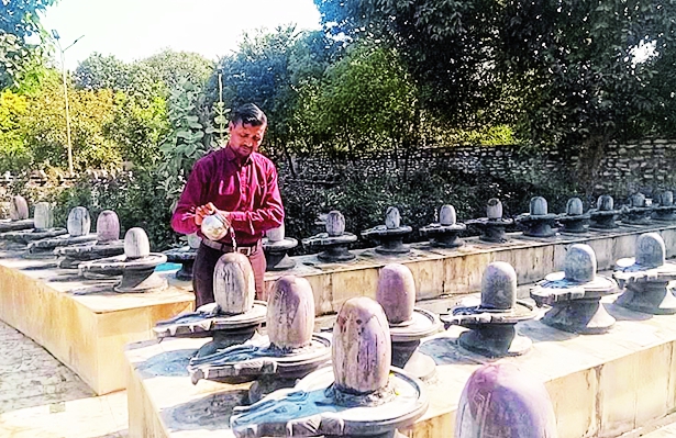 दुर्गाशंकर सैनी