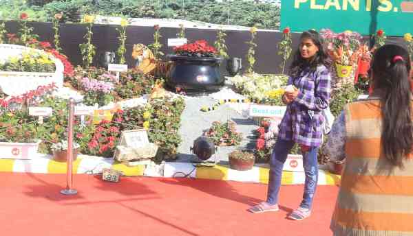 FLOWER SHOW IN UDAIPUR 2017