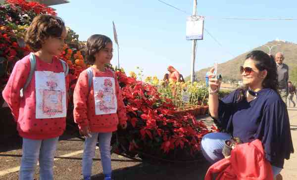 FLOWER SHOW IN UDAIPUR 2017