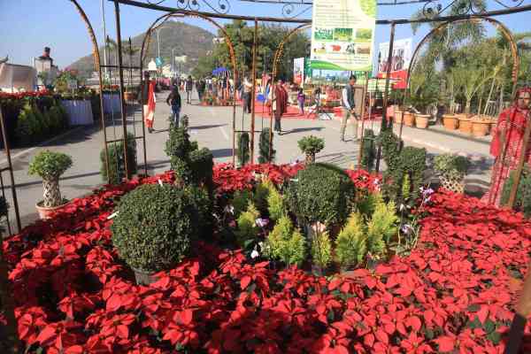 FLOWER SHOW IN UDAIPUR 2017