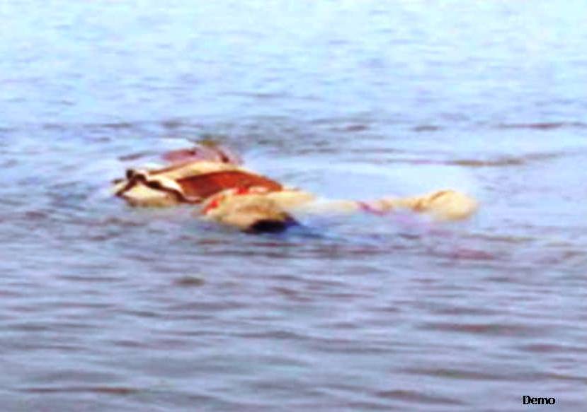 BREAKING: death of man in jaisamand lake udaipur
