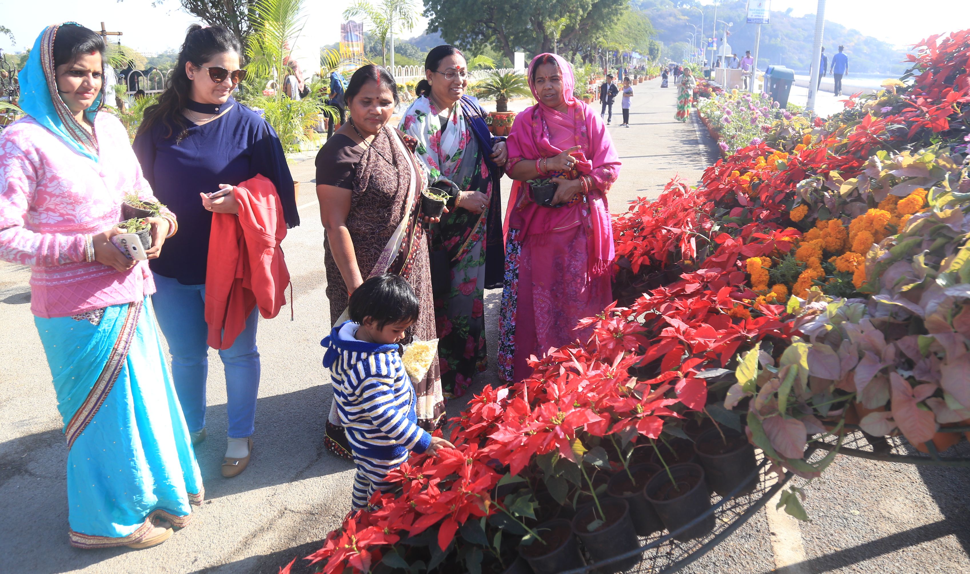 FLOWER SHOW UDAIPUR 2017 AT FATEHSAGAR