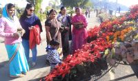 FLOWER SHOW UDAIPUR 2017 AT FATEHSAGAR