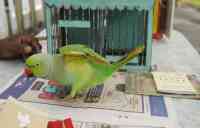 aaj ka rashifal in hindi, daily horoscope in hindi