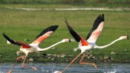 kevladev national park