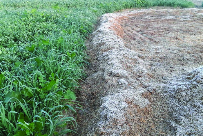 cold increase day by day