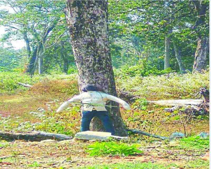 Maoist,Jharkhand,bomb