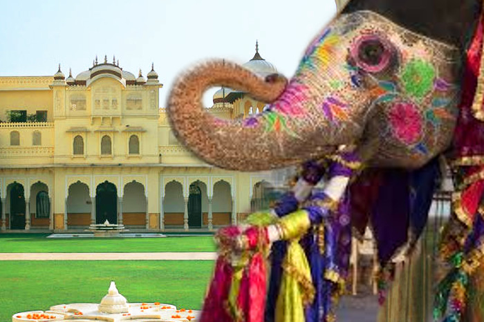 Royal Jaipur