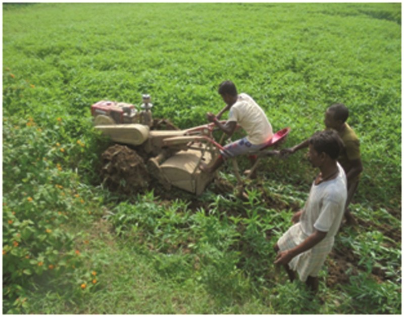 Lakhpati is not such that this farmer has done special farming
