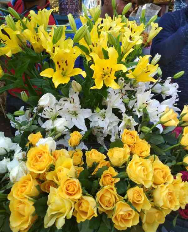 मानव श्रृंखला बनाकर इस तरह हुआ नव वर्ष का स्वागत