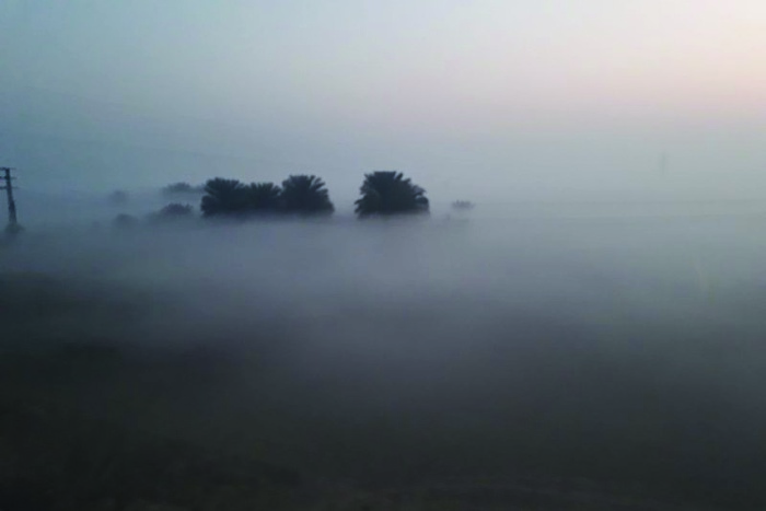 foggy weather in sriganganagar