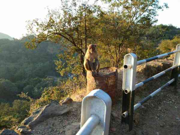 अब तक की सबसे motiveshanal photo, हाथ कटा हौंसला नहीं