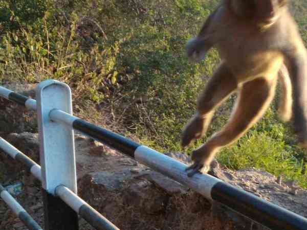 अब तक की सबसे motiveshanal photo, हाथ कटा हौंसला नहीं