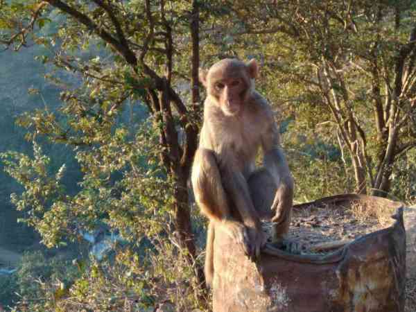 अब तक की सबसे motiveshanal photo, हाथ कटा हौंसला नहीं