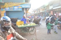 wholesale grocery trader  